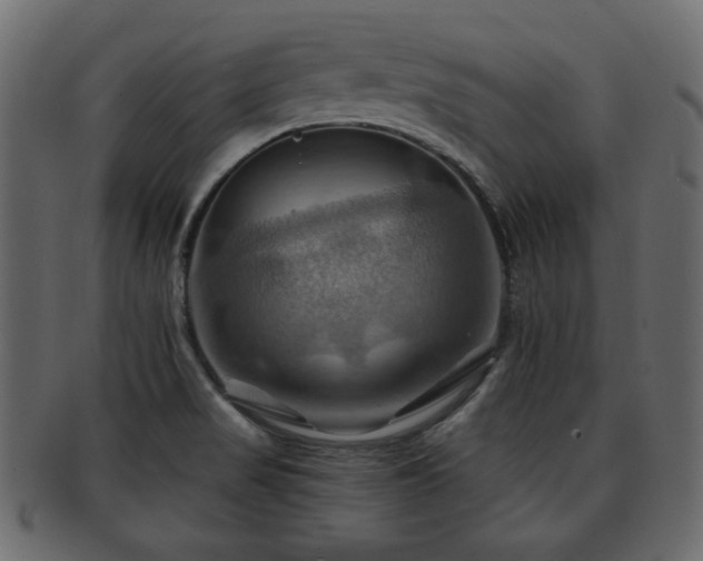 X0000093221517200709261622