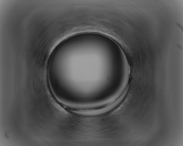 X0000093221518200709261622