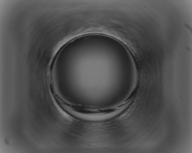 X0000093221519200709261622