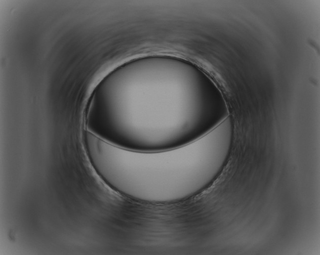 X0000093221520200709261622