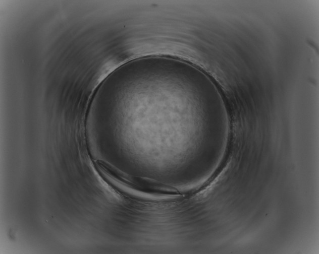 X0000093221521200709261622