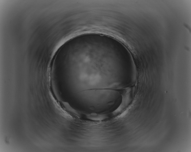 X0000093221522200709261622
