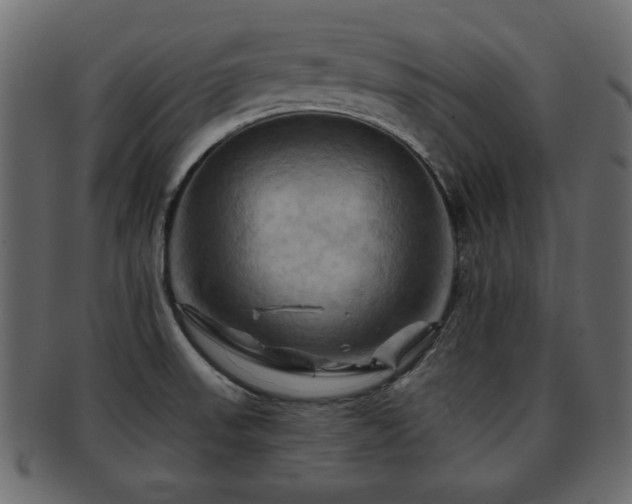 X0000093221523200709261622
