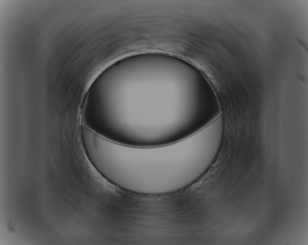 X0000093221524200709261622