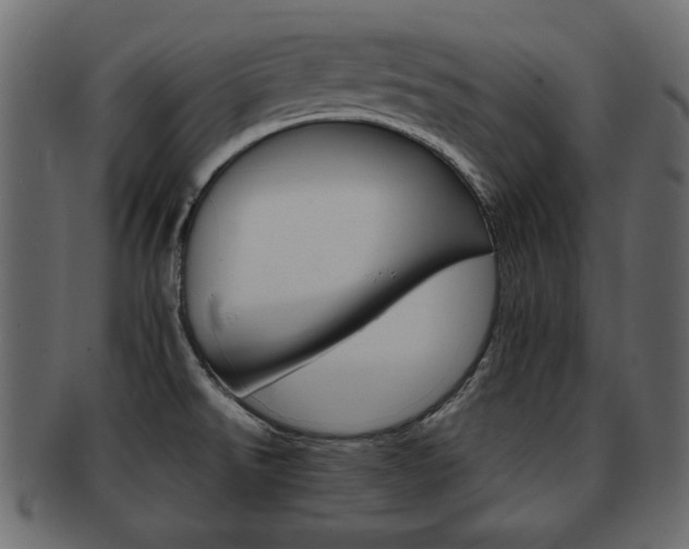 X0000093221526200709261622