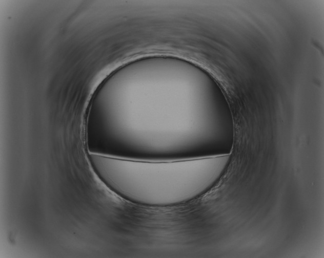 X0000093221527200709261622