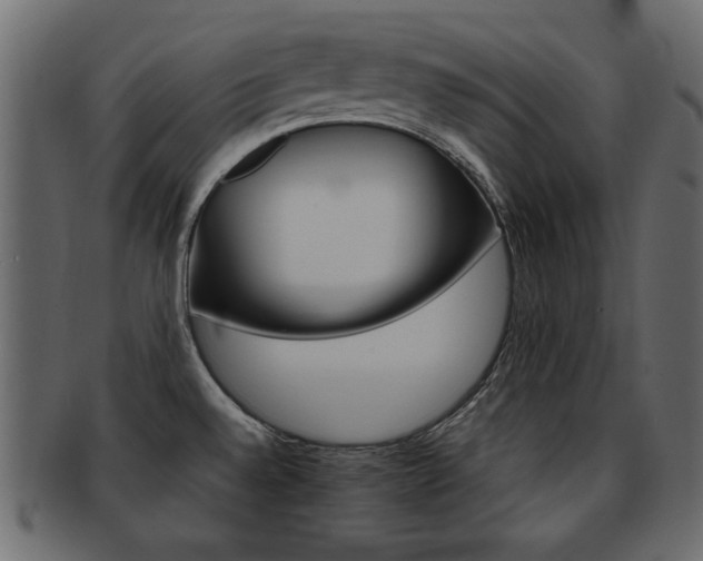 X0000093221528200709261622