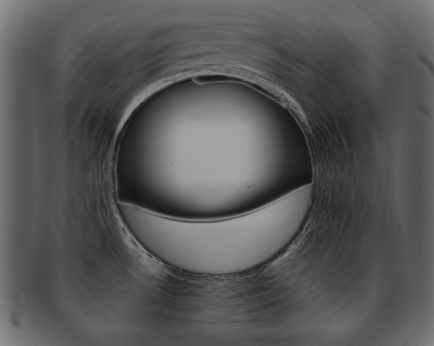 X0000093221530200709261622