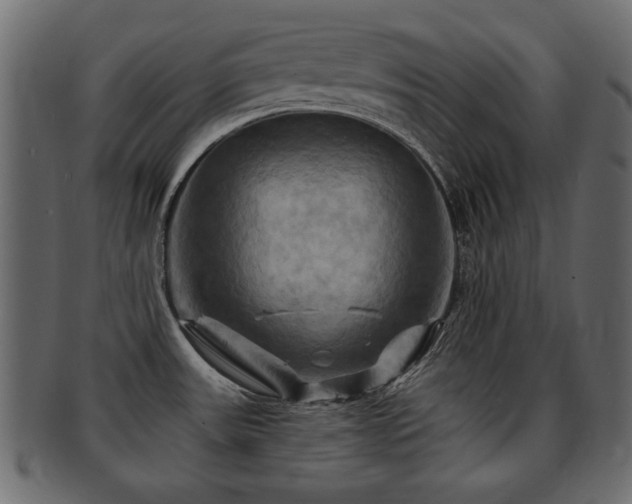 X0000093221531200709261622