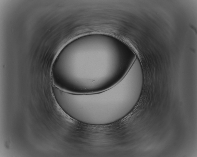 X0000093221532200709261622