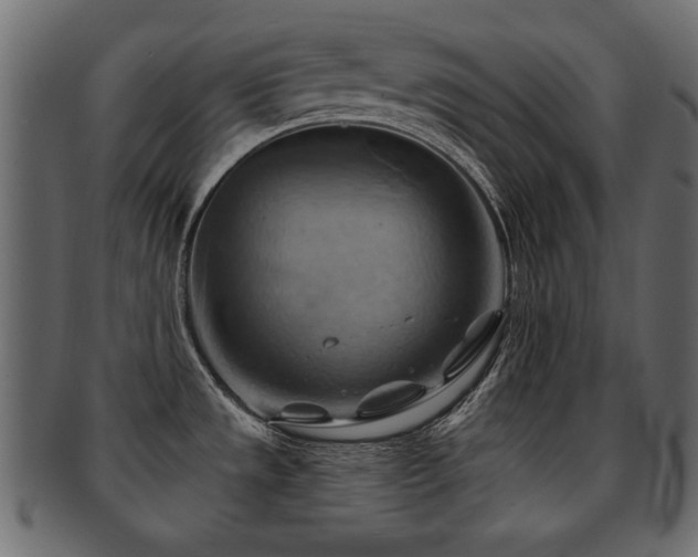 X0000093221533200709261622