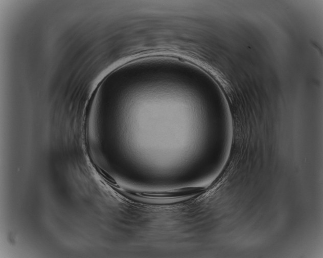 X0000093221534200709261622