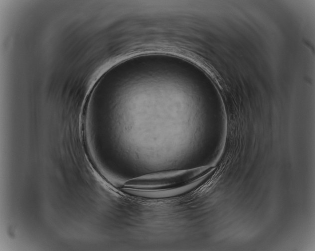 X0000093221535200709261622