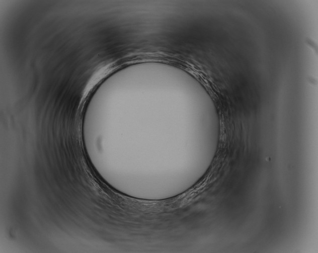 X0000093220004200710031448