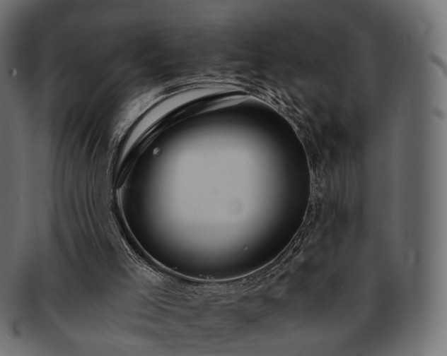 X0000093220005200710031448