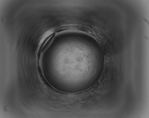 X0000093220006200710031448