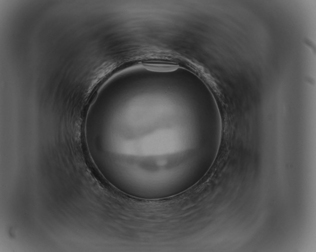 X0000093220010200710031448