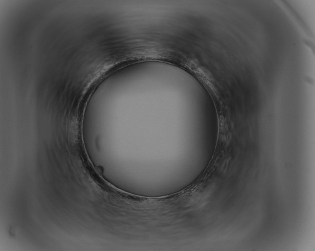 X0000093220012200710031448