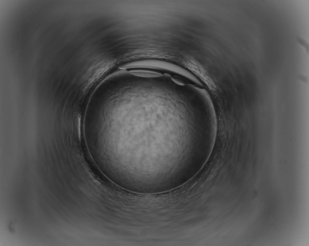 X0000093220014200710031448