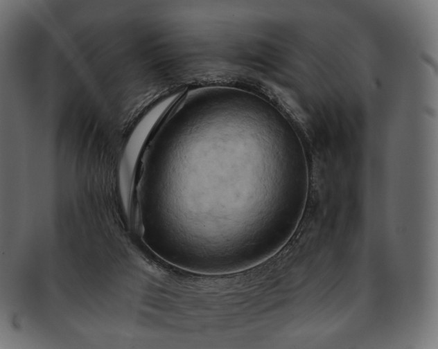 X0000093220017200710031448