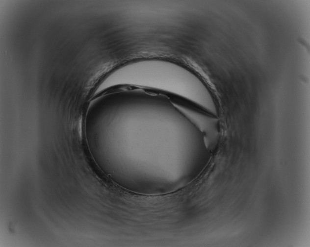 X0000093220019200710031448