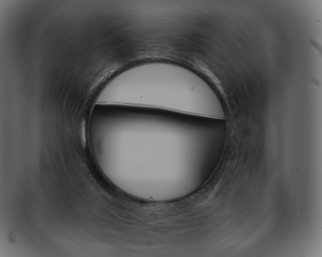 X0000093220020200710031448