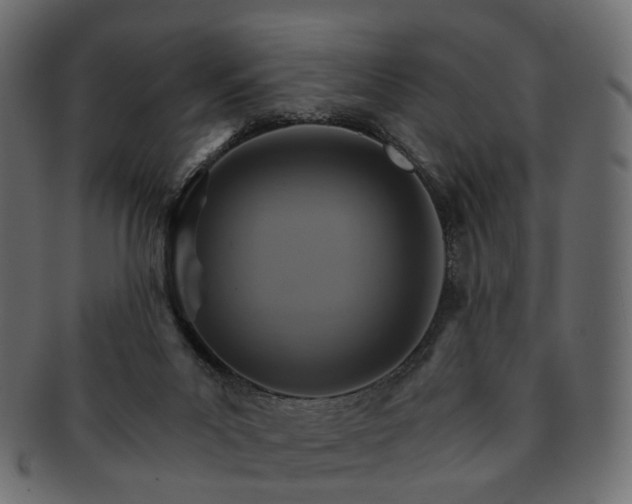 X0000093220023200710031448