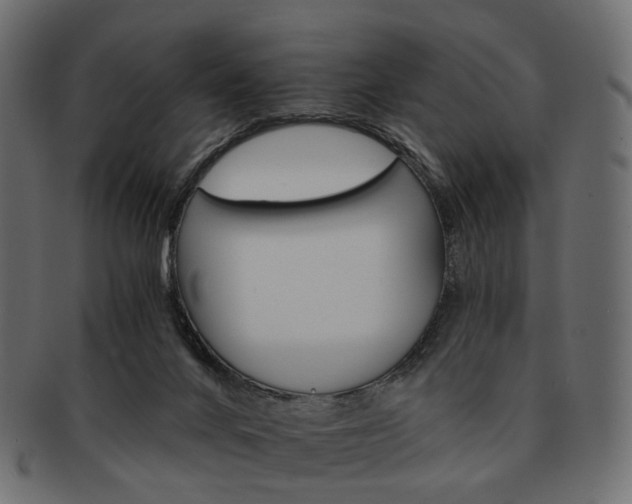 X0000093220024200710031448