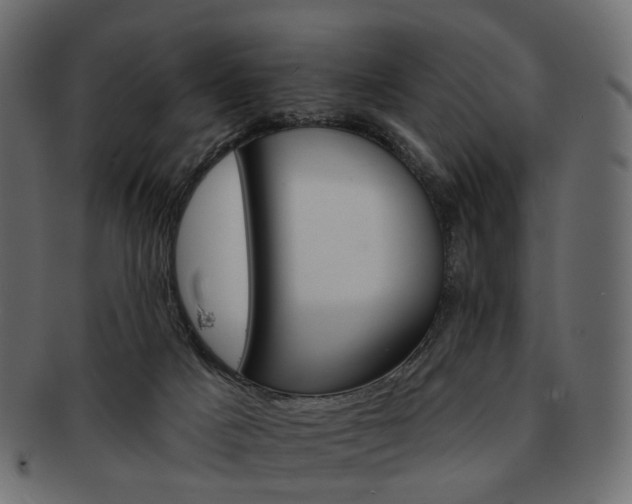 X0000093220025200710031448