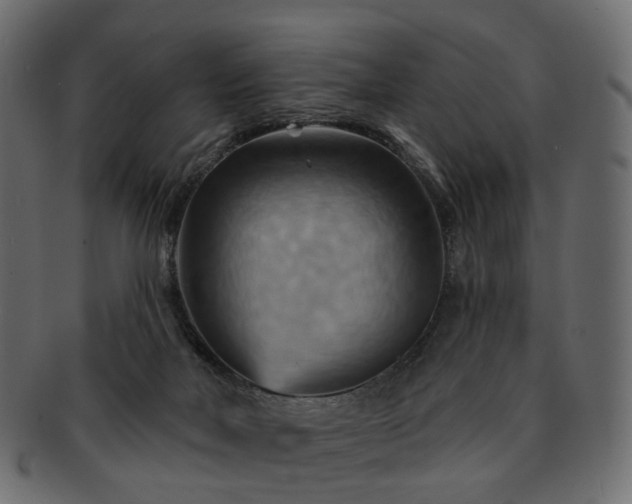 X0000093220026200710031448