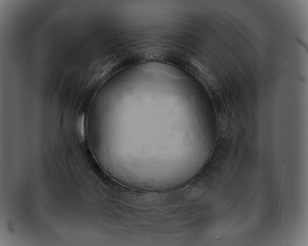 X0000093220028200710031448