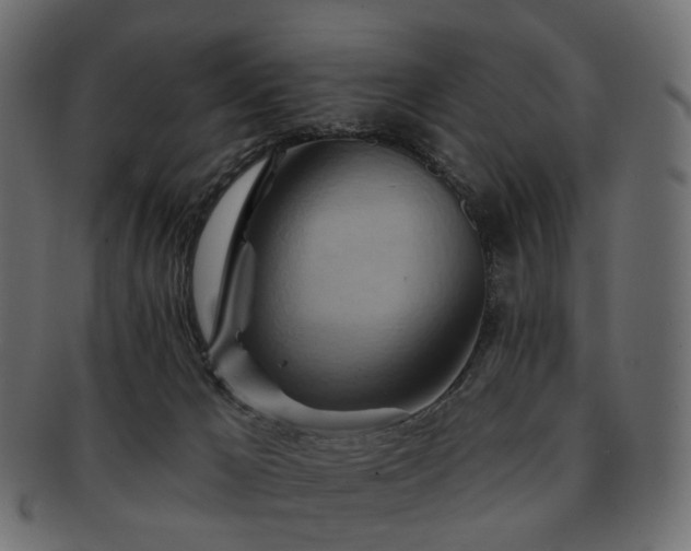 X0000093220029200710031448