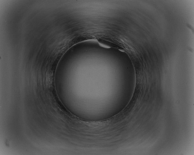 X0000093220030200710031448