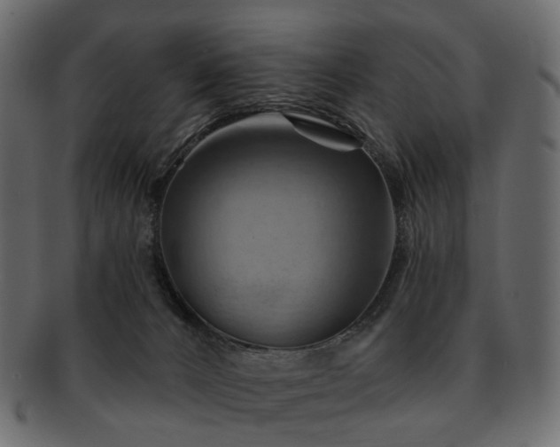 X0000093220032200710031448