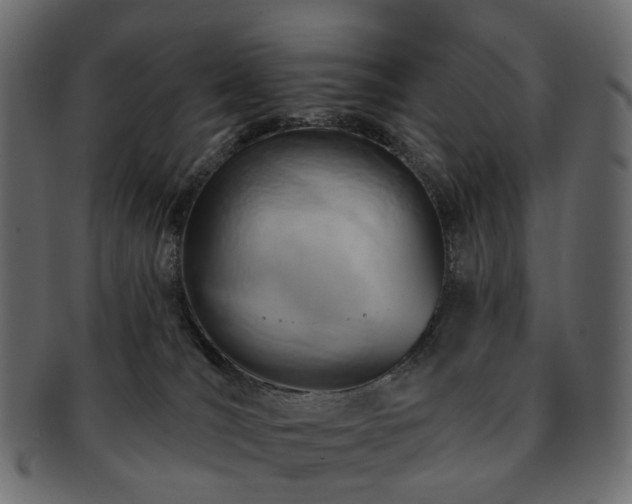 X0000093220036200710031448