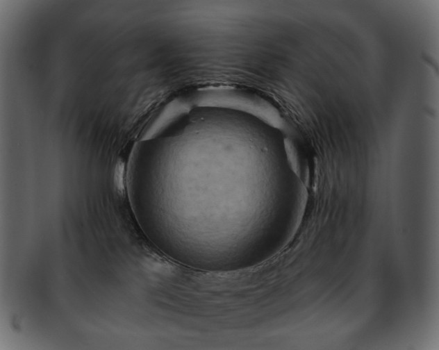 X0000093220041200710031448