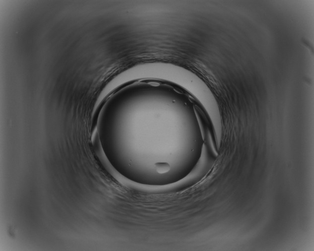 X0000093220045200710031448