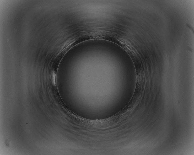 X0000093220046200710031448