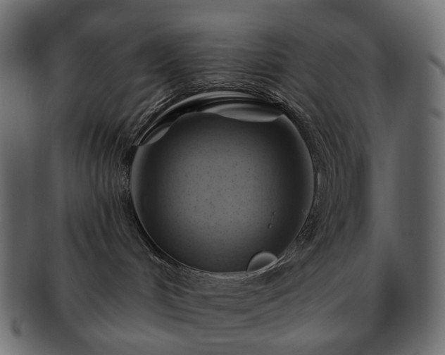 X0000093220048200710031448