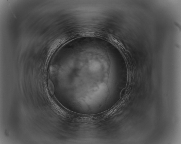 X0000093220049200710031447