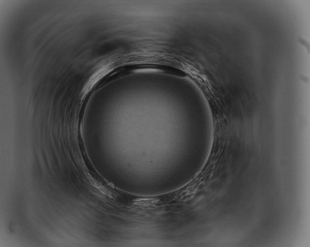 X0000093220051200710031447