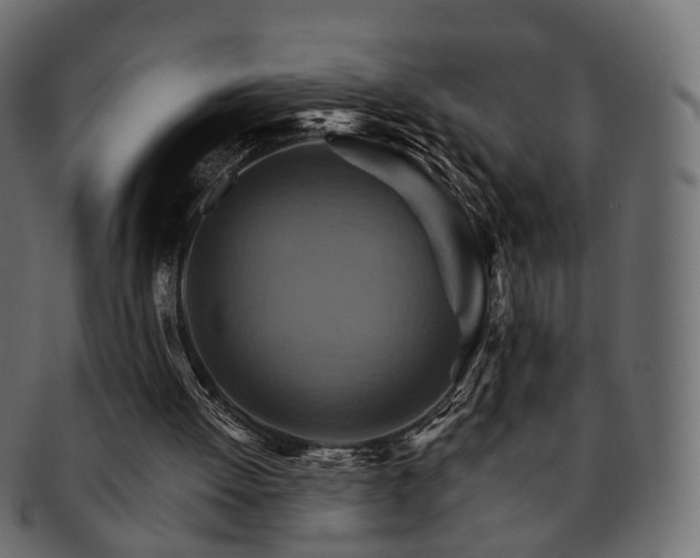 X0000093220052200710031447