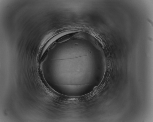 X0000093220053200710031447