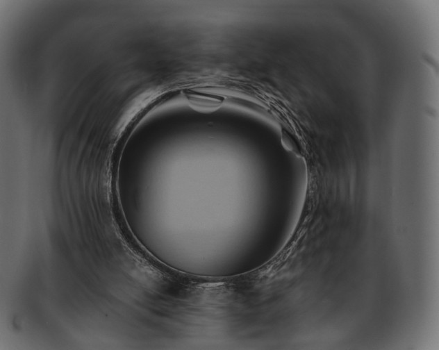 X0000093220054200710031447