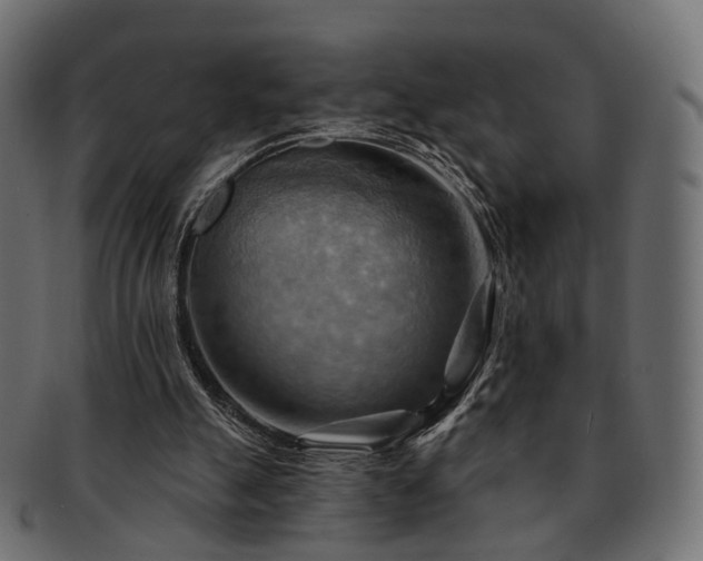 X0000093220055200710031447