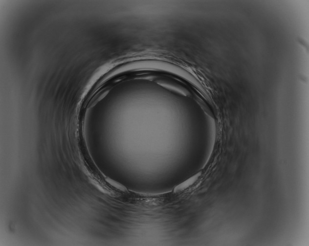 X0000093220056200710031447