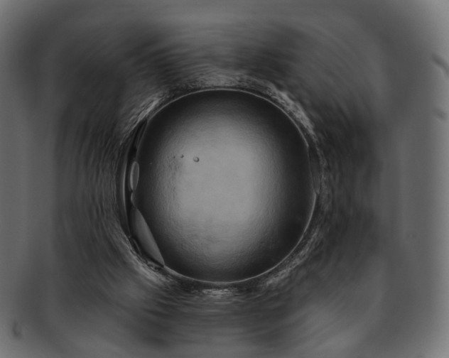 X0000093220057200710031447