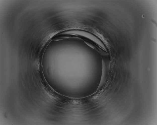 X0000093220060200710031447