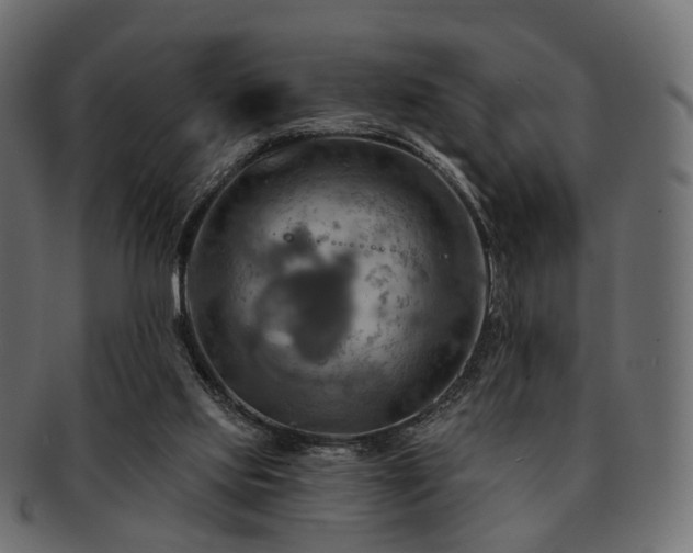 X0000093220061200710031447