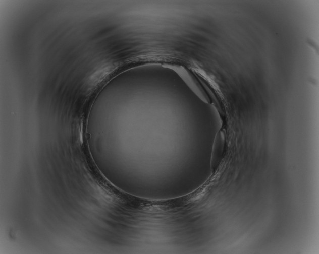 X0000093220062200710031447